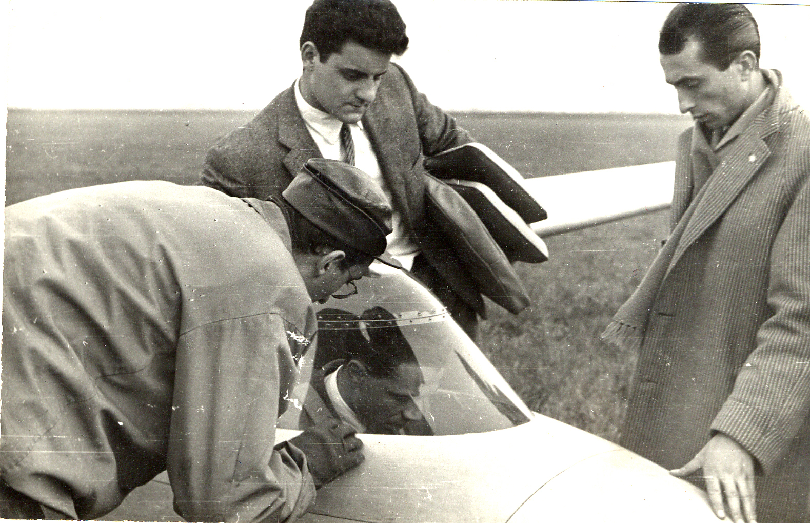 Lino del Pio